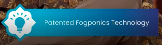 Planyt on Shark Tank India Season 5 Episode 4 Fogponics Technology